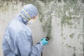 Best HVAC Mold Inspection and Cleaning in Heber, CA